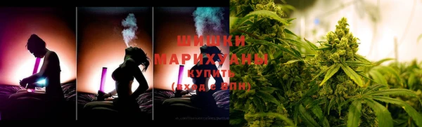 СК Елизово