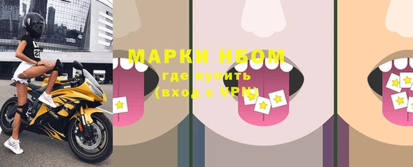 СК Елизово