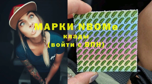 СК Елизово