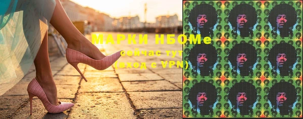 СК Елизово