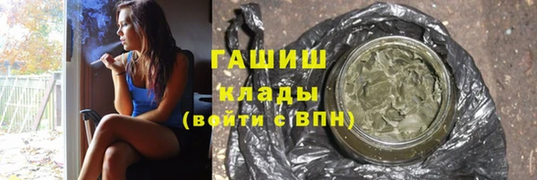 СК Елизово