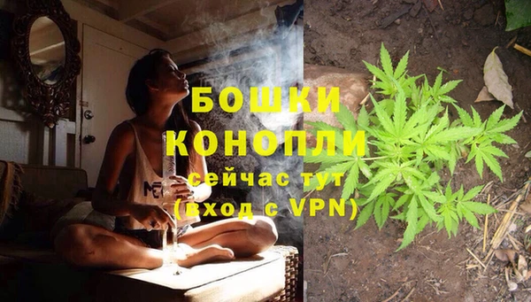 mdpv Елабуга