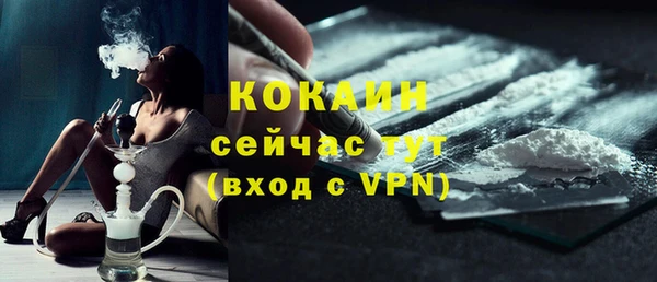 СК Елизово